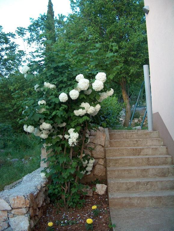 Villa Petra Medjugorje Exterior foto